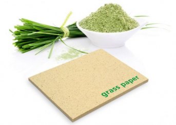 Bedruckte Graspapier Haftnotizen 